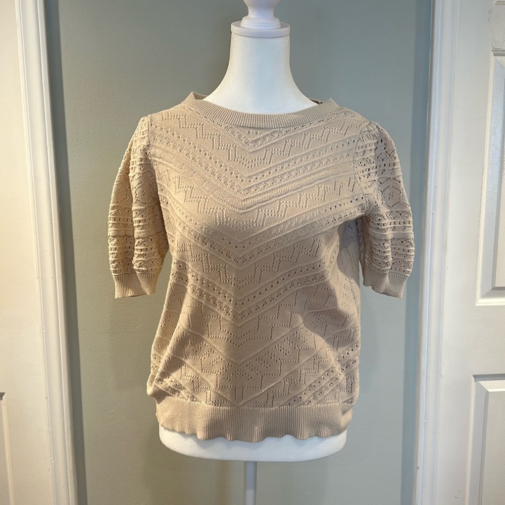 Ann Taylor Loft Sweater